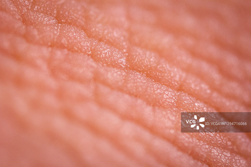 人手细节指纹微距特写图片素材