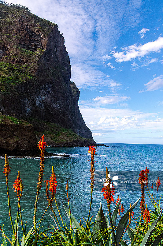 葡萄牙马德拉岛北部：鹰岩图片素材
