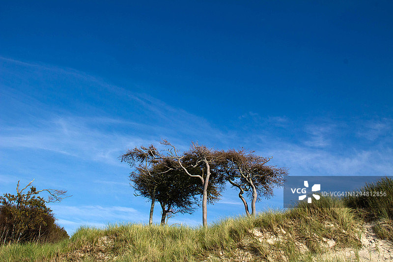 德国梅克伦堡-前波莫瑞西波美拉尼亚泻湖区国家公园的海岸线图片素材