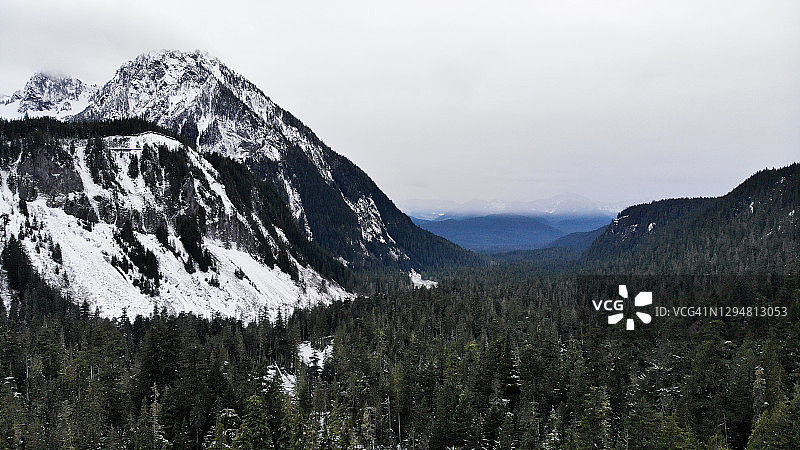 雪山松树林图片素材