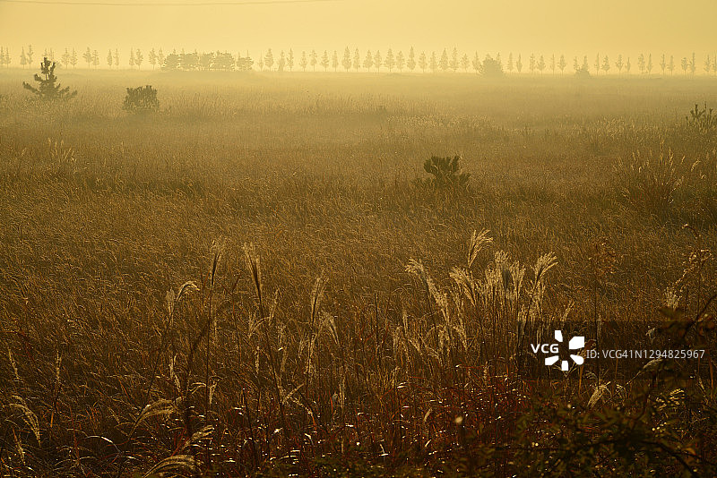 韩国大阜岛始华湖公园景观图片素材