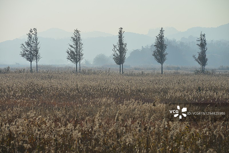 韩国大阜岛始华湖公园景观图片素材