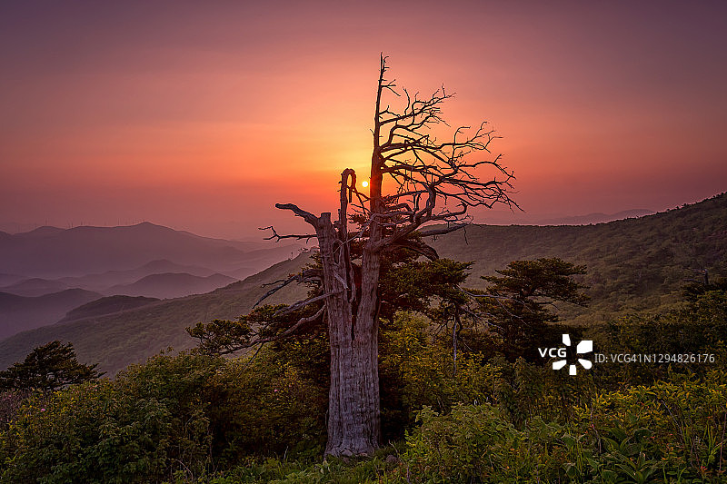 韩国旌善咸白山清晨景色图片素材
