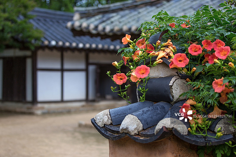韩国江陵许兰雪轩故居的春季景观图片素材