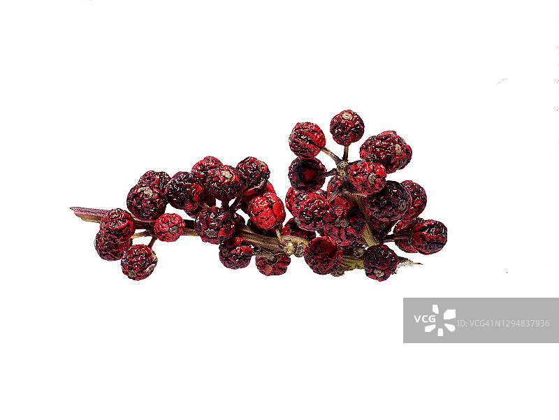 浆果图片素材
