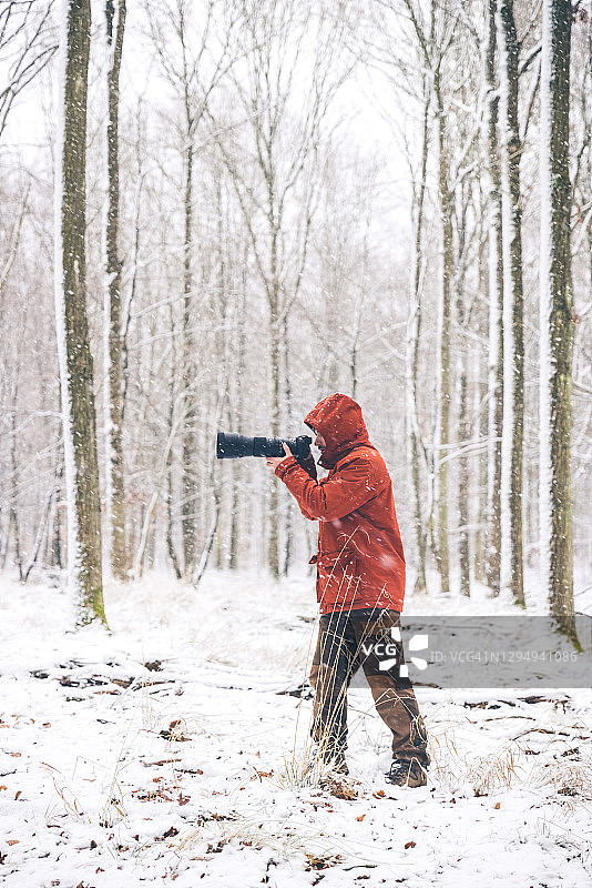 冬季仙境中的野生动物摄影师图片素材