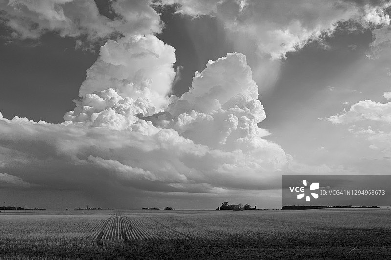 夏季雷雨农田图片素材