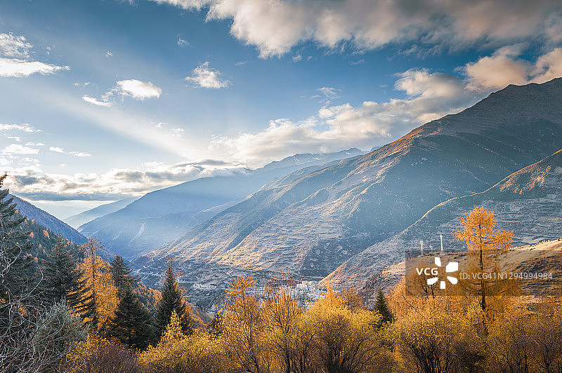 森林树木景观纹理背景：中国香格里拉亚丁秋季自然风光图片素材