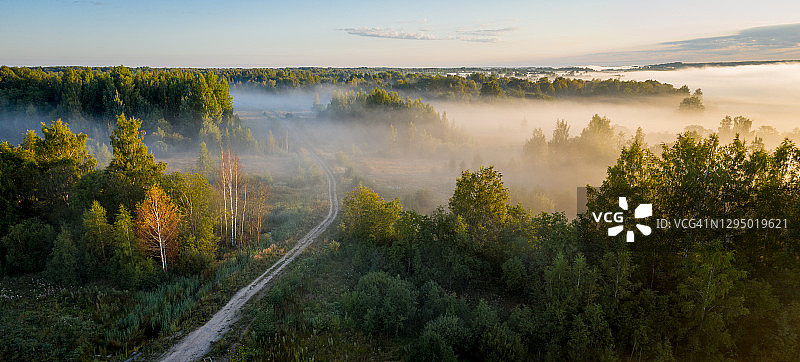 清晨景观：雾气笼罩的森林日出，小路穿过神秘的雾霭图片素材