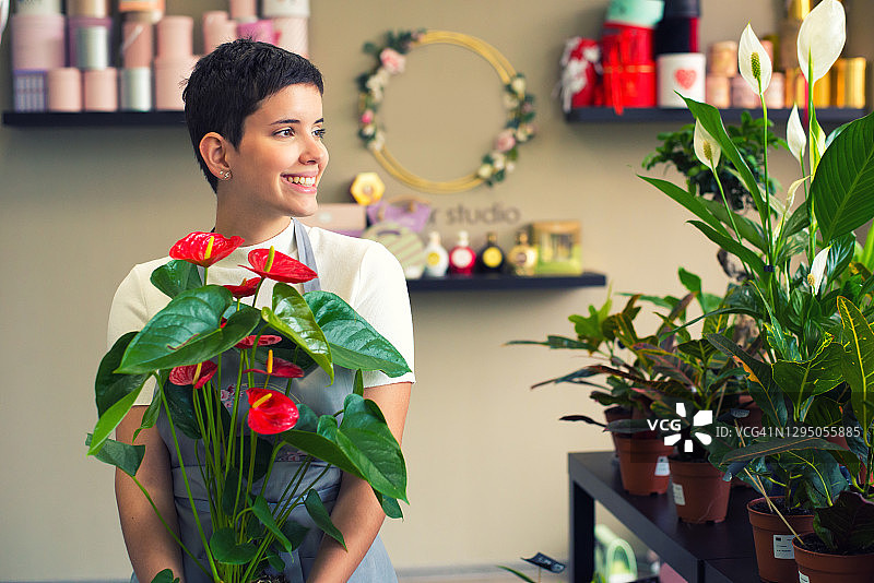 家族企业植物苗圃图片素材