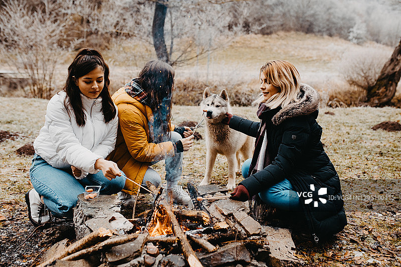 三个年轻女子和她们的狗在篝火旁图片素材