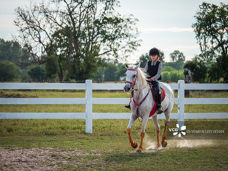 年轻的亚洲女孩喜欢在农场骑马，在牧场进行骑马训练，她在泰国骑着一匹白色的阿拉伯马图片素材