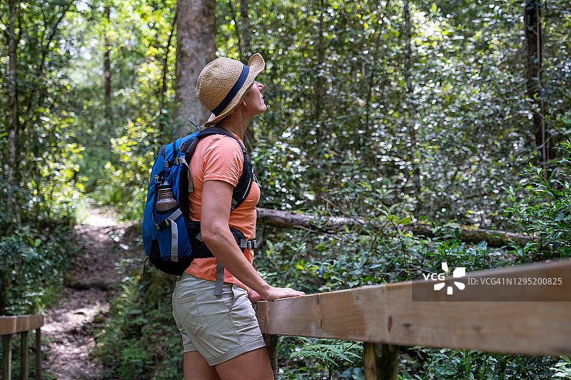 年轻女人欣赏原始森林的美丽图片素材