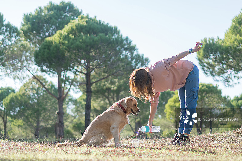 狗在森林里喝瓶装水图片素材