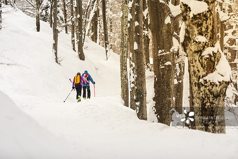 在林中滑雪的情侣，高山滑雪图片素材
