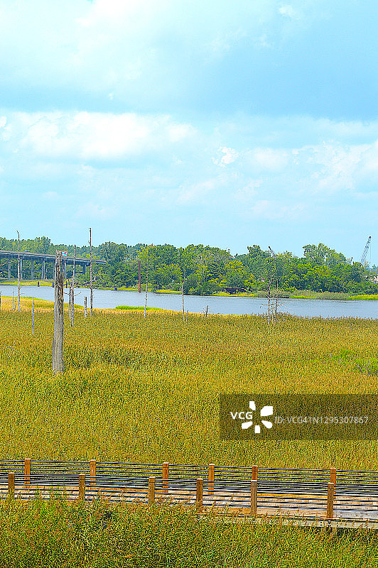 北卡罗来纳州威尔明顿绍斯波特沼泽步道图片素材