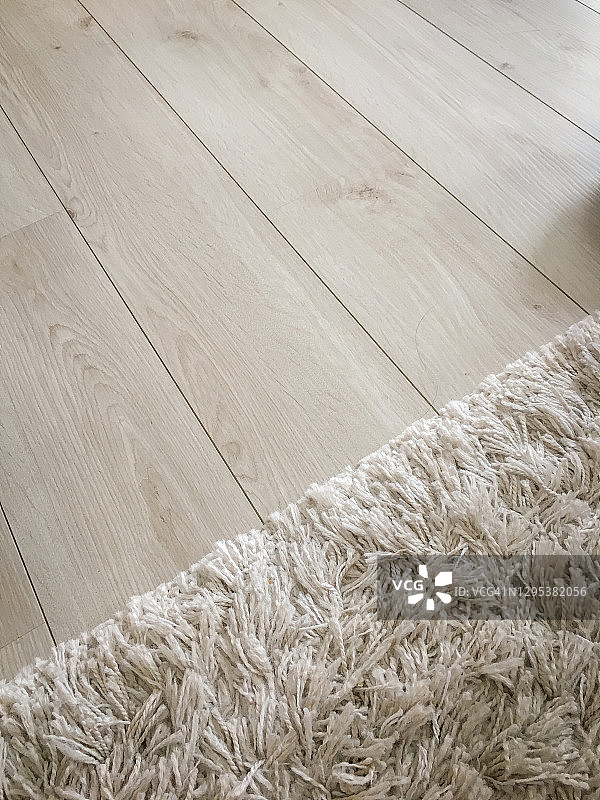 挪威奥斯陆的现代家居地板和地毯图片素材