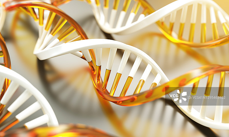 DNA结构图片素材