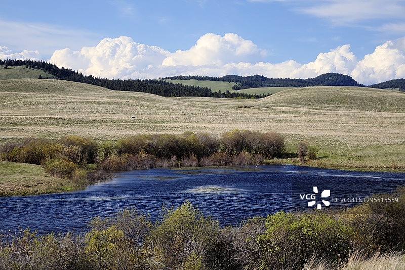春季的高地草原和池塘图片素材