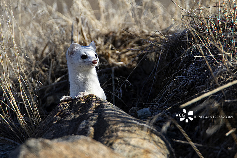 向外看图片素材