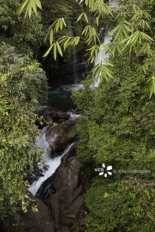 尼泊尔安纳普尔纳大本营徒步路线沿线的竹林和瀑布图片素材