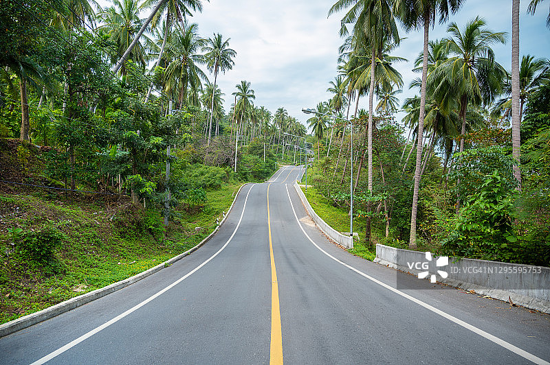 泰国那空是贪玛叻府卡侬区椰林中的乡村公路图片素材