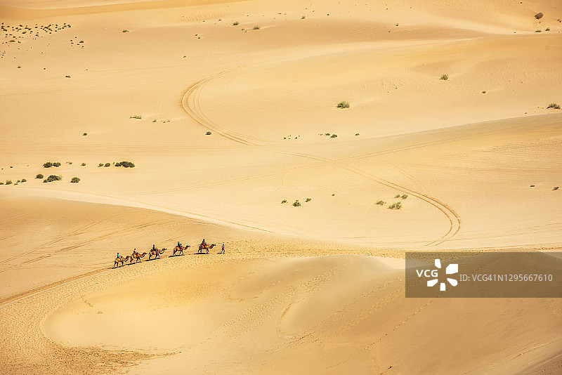 骆驼商队图片素材