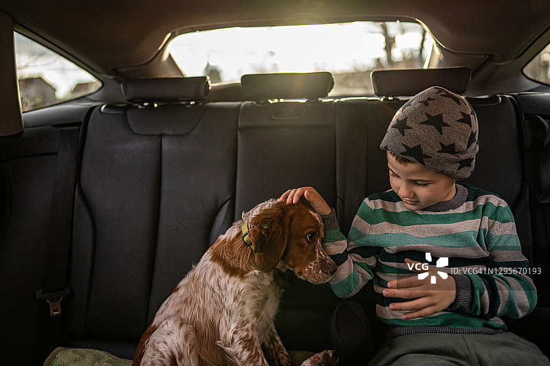 和他的狗一起坐在汽车后座的年轻男孩图片素材