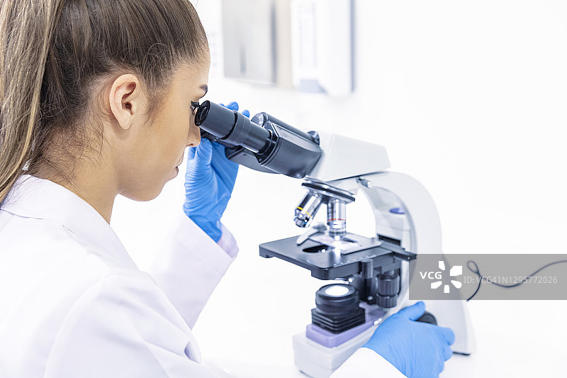 科学家正在用显微镜观察图片素材