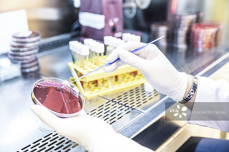 女科学家在美国疾病控制中心实验室工作图片素材