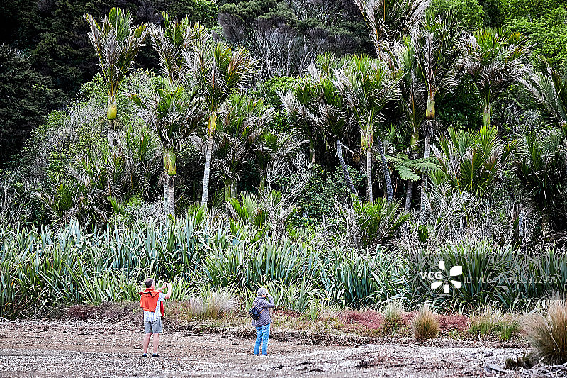 游客在怀赫科岛海滩上行走图片素材