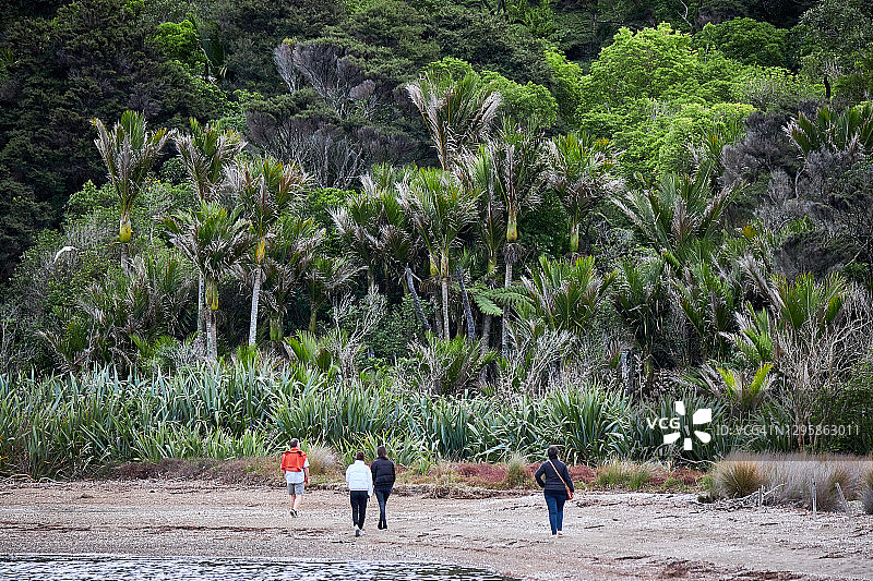 游客在怀赫科岛海滩上行走图片素材