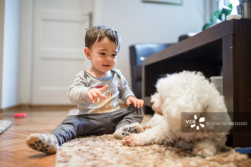 小男孩和他的狗图片素材