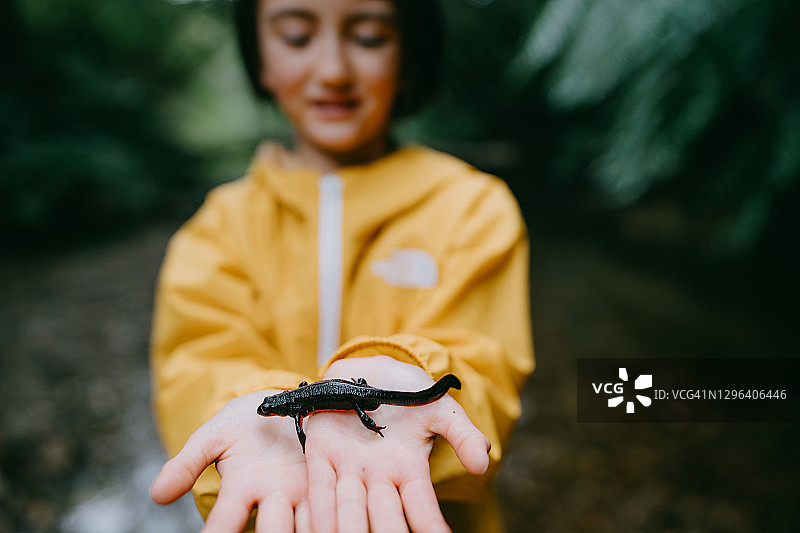 在冲绳雨林中拿着蝾螈的年轻女孩图片素材