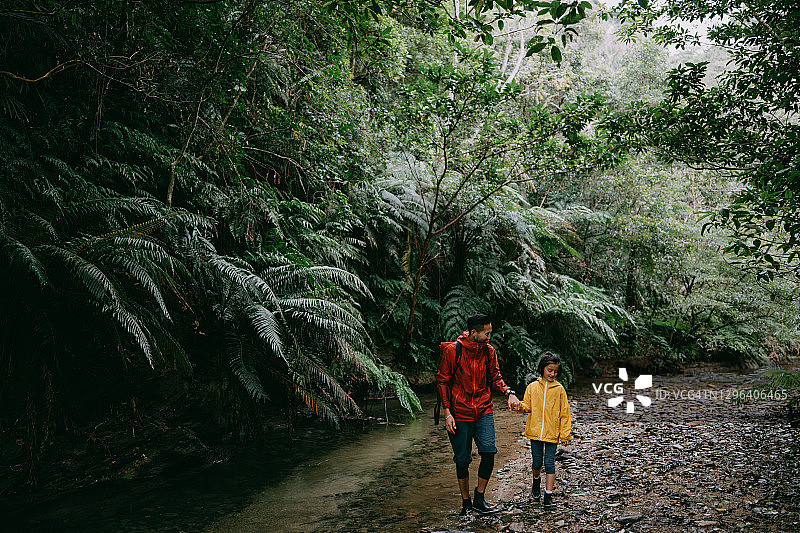 父亲和年轻女儿在雨中徒步穿越森林中的河流图片素材