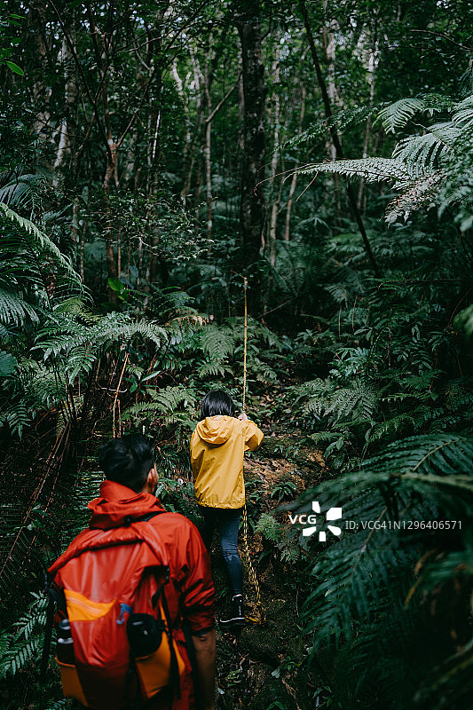 父子在雨林中徒步的背影图片素材