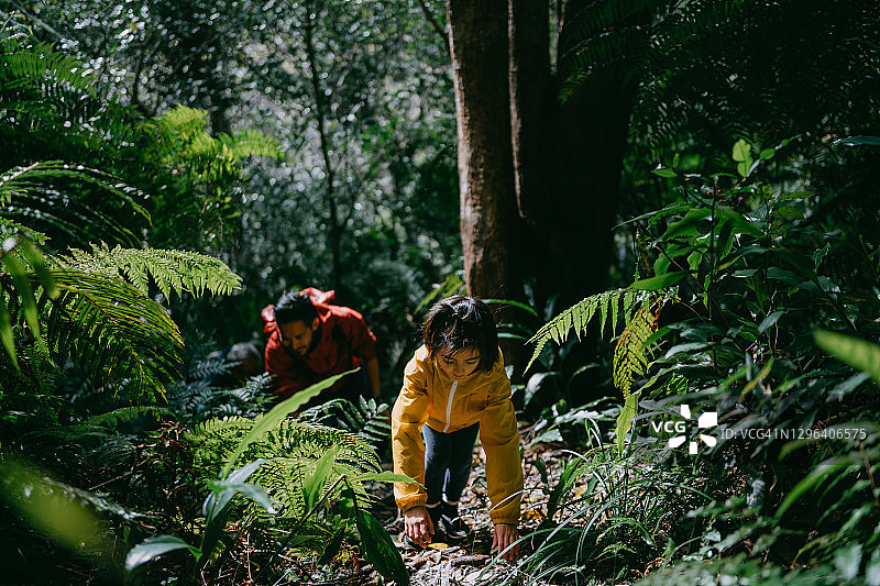 在日本森林里徒步旅行的年轻女孩图片素材