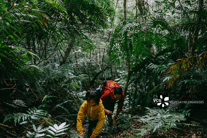 年轻女孩和她的父亲在日本冲绳的丛林中徒步旅行图片素材