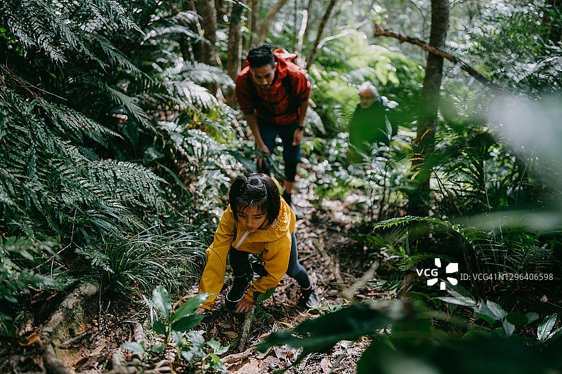 小女孩和她的父亲在日本冲绳森林里徒步旅行图片素材