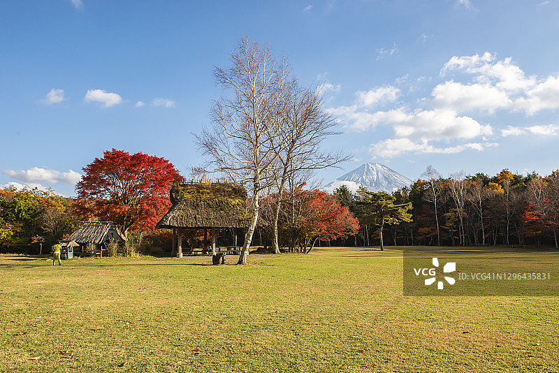 日本山梨县西湖野鸟森林公园的秋季富士山图片素材