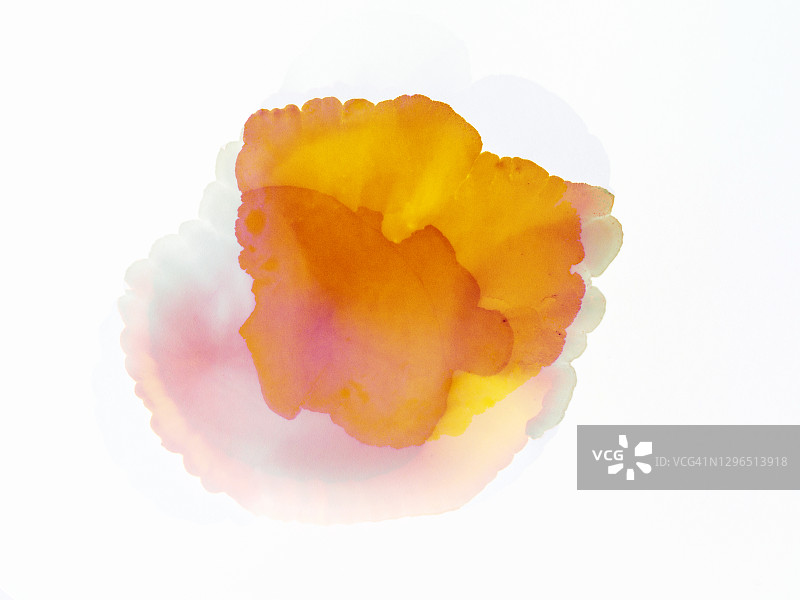 白色画布上的黄色颜料墨水滴抽象背景图片素材