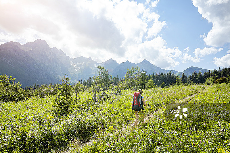 孤独的女子徒步穿越高山草甸，远处是山脉，斯洛伐克塔特拉图片素材