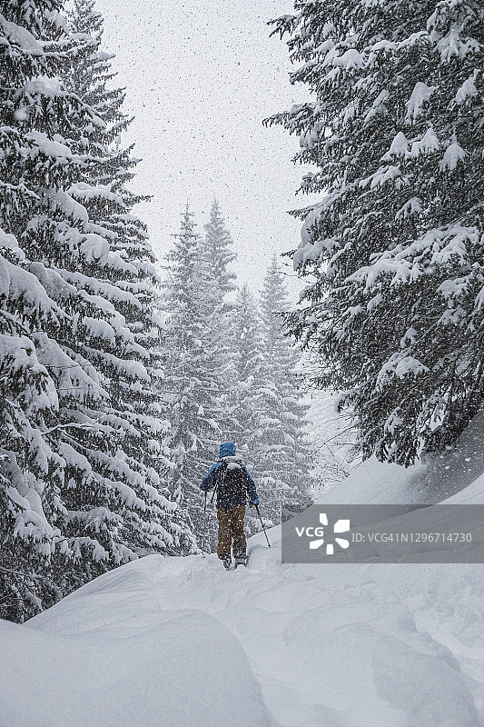 暴风雪中滑雪者穿过森林图片素材