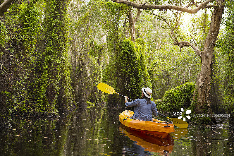 夏季在红树林中划皮划艇的女游客图片素材