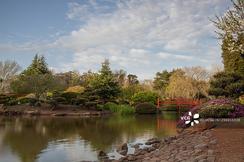 昆士兰图文巴公共公园内的日式花园图片素材