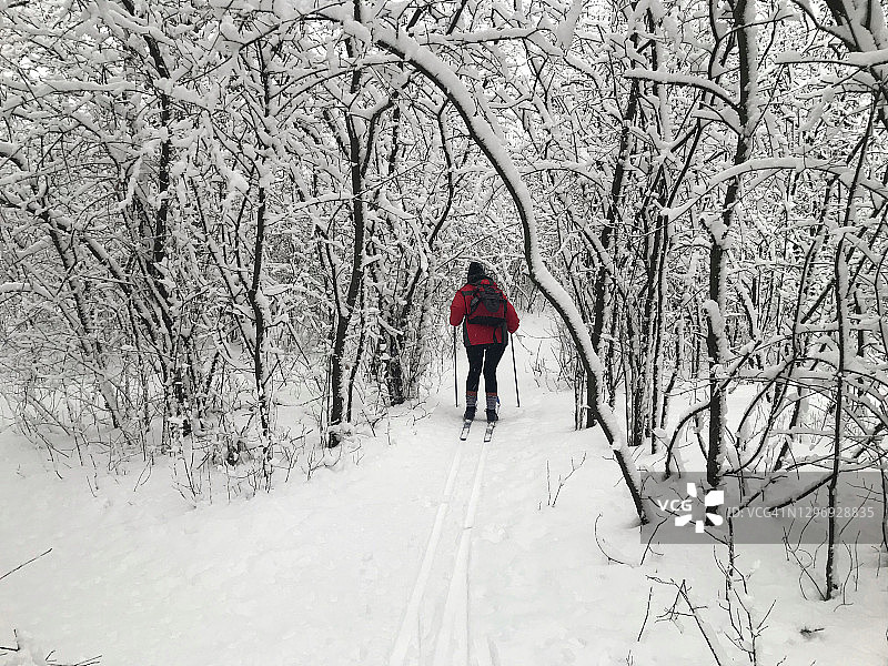 越野滑雪者在雪地上行进，红色夹克和背包的背影图片素材