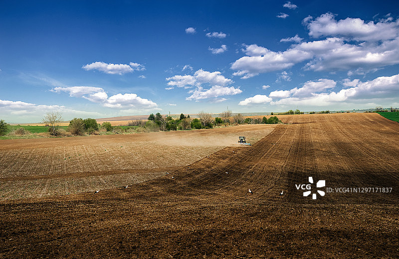 春天的农业田地图片素材