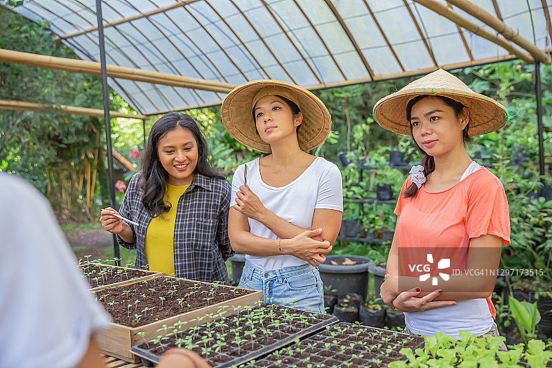 一群亚洲志愿者在永续农业农场，听取农民关于可持续农业的指导图片素材