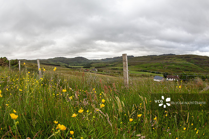 英国草甸素材图片素材