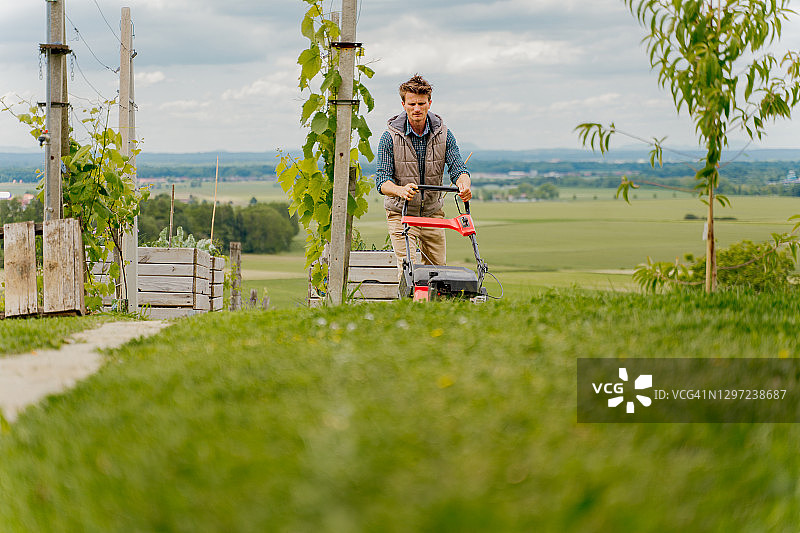 在草地上使用割草机的男子图片素材